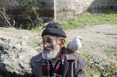 Beyaz sakallı Dede ve güvercinler Dostu.