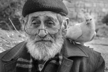 Beyaz sakallı Dede ve güvercinler Dostu.