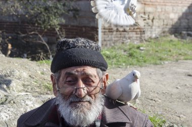 Beyaz sakallı Dede ve güvercinler Dostu.