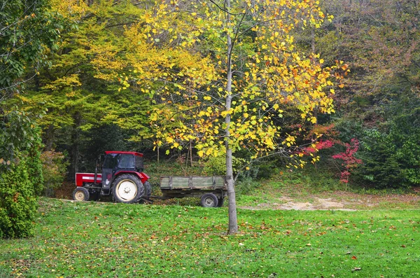 Scena autunnale con giallo, un traktor sullo sfondo . — Foto Stock