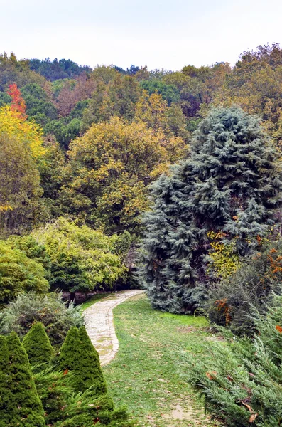 Scène automnale avec des feuilles jaunes, orange et rouges sur les arbres . — Photo