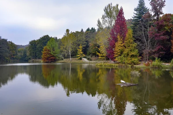 Ağaçlar üzerinde sarı, turuncu ve kırmızı yaprakları ile sonbahar sahne. — Stok fotoğraf