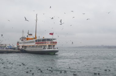 Sisli sabah, yolcu ve dans eden martılar feribot için bekliyor