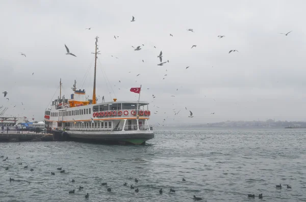 Foggy morning, waiting to ferry passengers and dancing seagulls — Stock Photo, Image