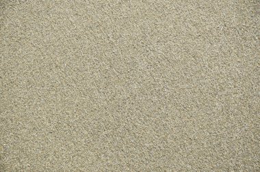 Sahil plaj kum yüzey, arka plan.