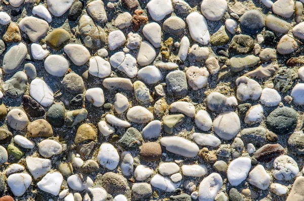 Kieselsteine am Strand — Stockfoto