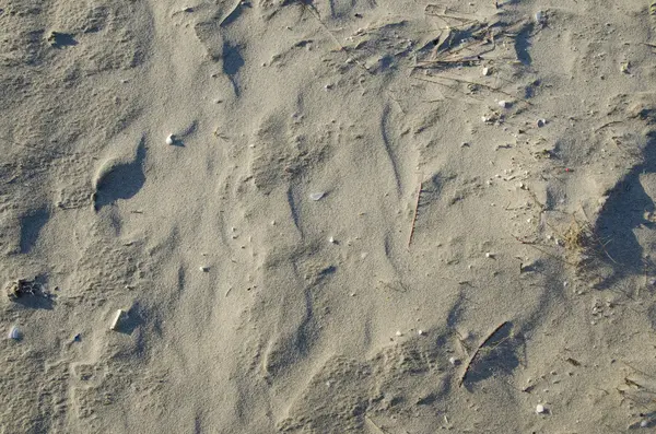 Coast beach sand surface, background. — Stock Photo, Image