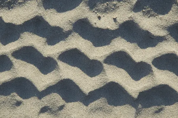 Car wheel track on the sand in the natural environment — Stock Photo, Image