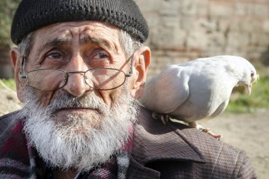 Beyaz sakallı Dede ve güvercinler Dostu.
