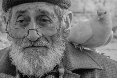 Beyaz sakallı Dede ve güvercinler Dostu.