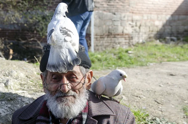Белый дедушка с голубями . — стоковое фото
