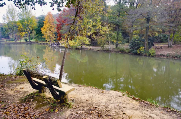 Arbres d'automne autour du lac. Arbres d'automne reflétés dans le lac . — Photo