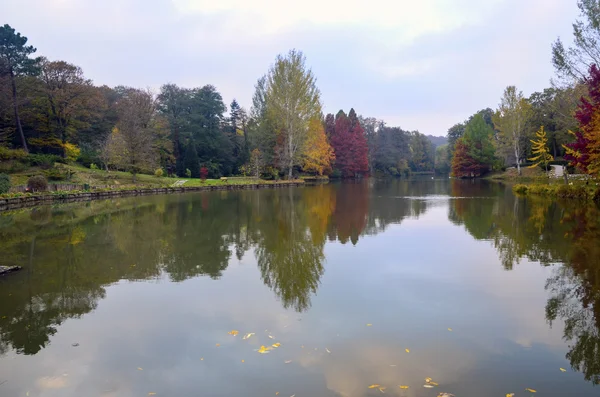 Árboles de otoño alrededor del lago. Árboles de caída reflejados en el lago . — Foto de Stock