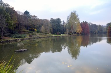 Göl çevresinde sonbahar ağaçlar. Sonbaharda ağaçlar gölde yansıyan.