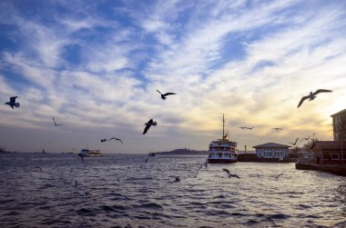 Istanbul boğazı akşam, gün batımı martılar ve insanlar