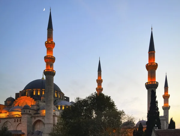 Mezquita Suleymaniye Estambul —  Fotos de Stock