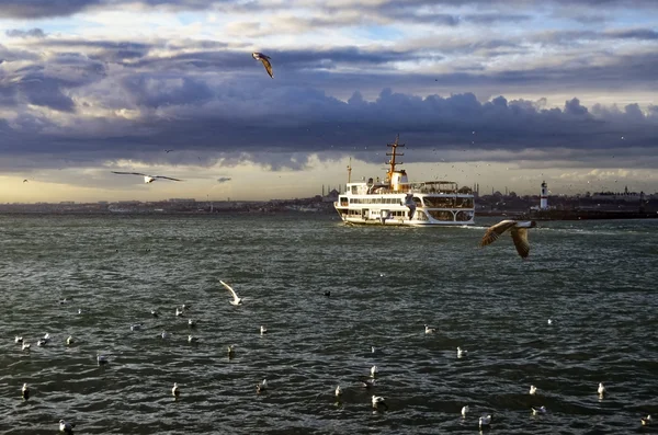Bateaux et mouettes d'Istanbul — Photo