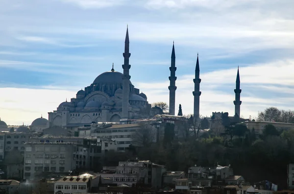 Nuova moschea Istanbul Immagine Stock