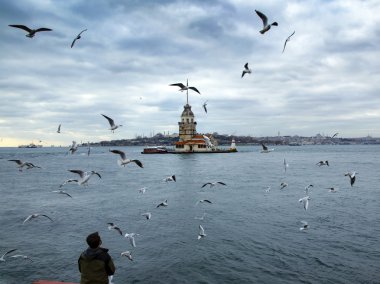 Maidens Tower ve görülen insanlar martılar besleme