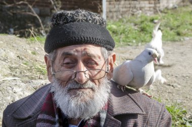 Beyaz sakallı Dede ve güvercinler Dostu.