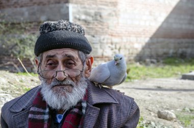 Beyaz sakallı Dede ve güvercinler Dostu.
