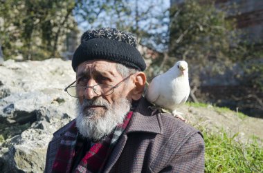 Beyaz sakallı Dede ve güvercinler Dostu.