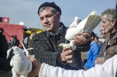 Istanbul, güvercin satıcıları sergilenmektedir kuşlar'Kuş Pazarı.