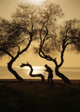 Bir baston üzerinde yürüyen insanlar ve ağaçlar yaşlı kadın