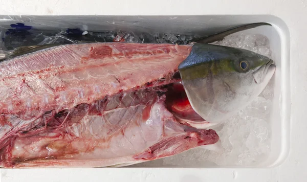 Pescado fresco fileteado en un mercado japonés — Foto de Stock