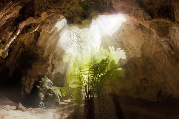 Inside a limestone cave — Stock Photo, Image