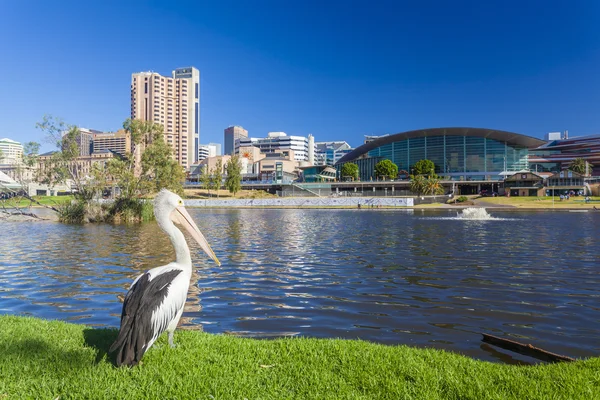 Riverbank Precinct Adelajdy w Australii Południowej w ciągu dnia — Zdjęcie stockowe