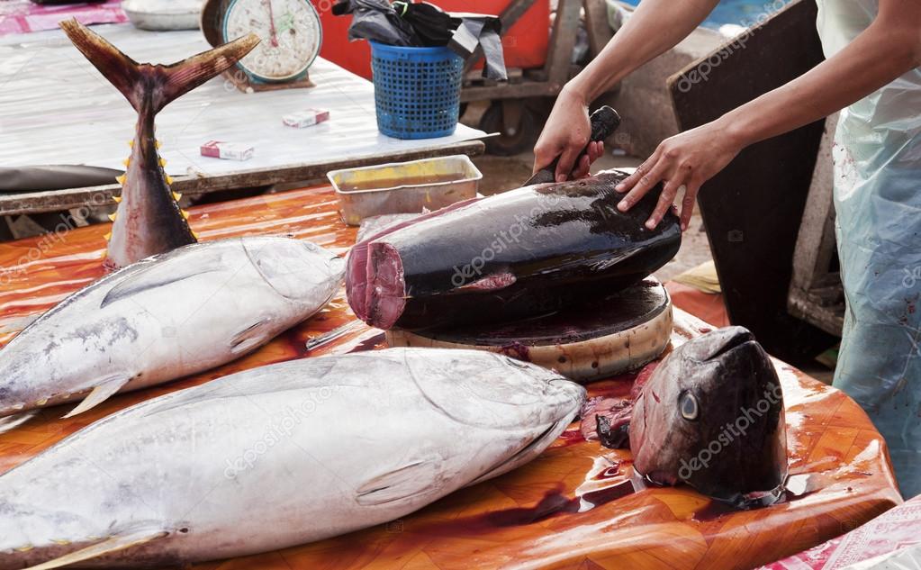 Butchering tuna — Stock Photo © ymgerman 71927759