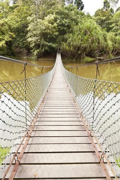 Ponte de corda em uma selva — Fotografia de Stock