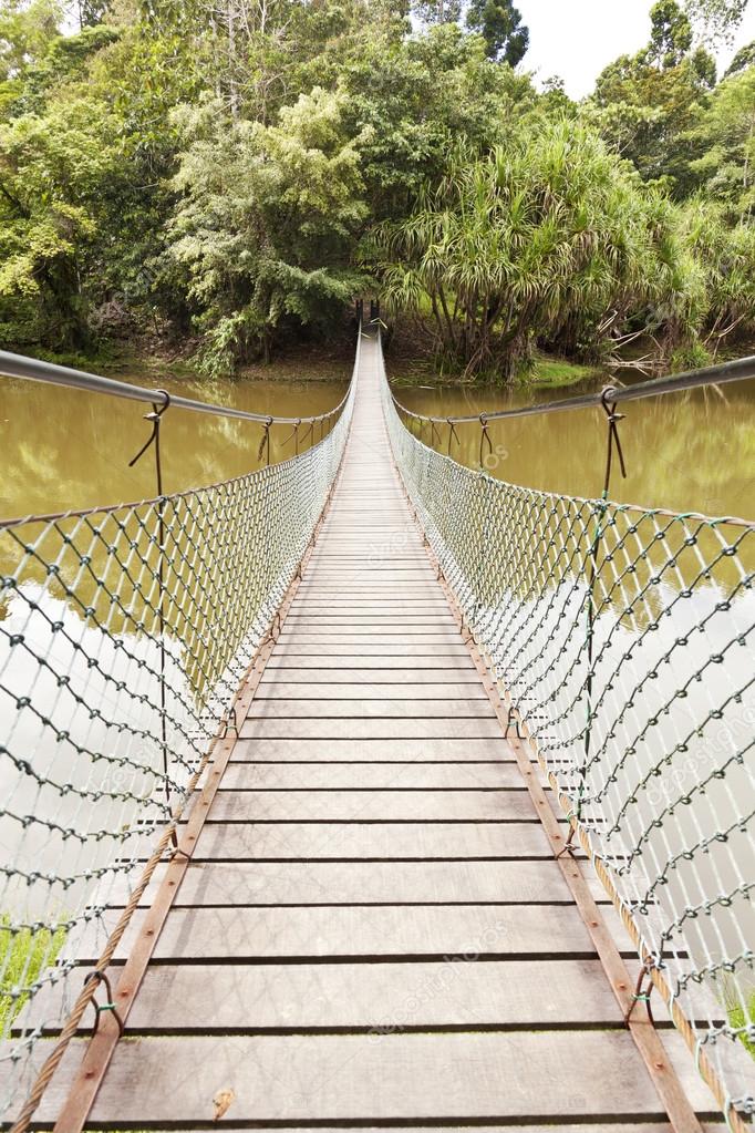 Rope bridge in a jungle Stock Photo by ©ymgerman 72448445