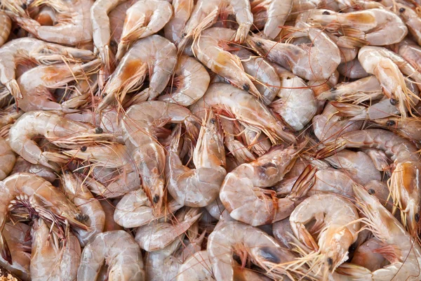 Prawn background — Stock Photo, Image