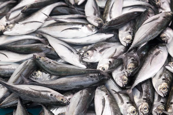 Grupo de peixes em um mercado — Fotografia de Stock