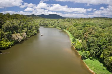 yağmur ormanlarında Nehri