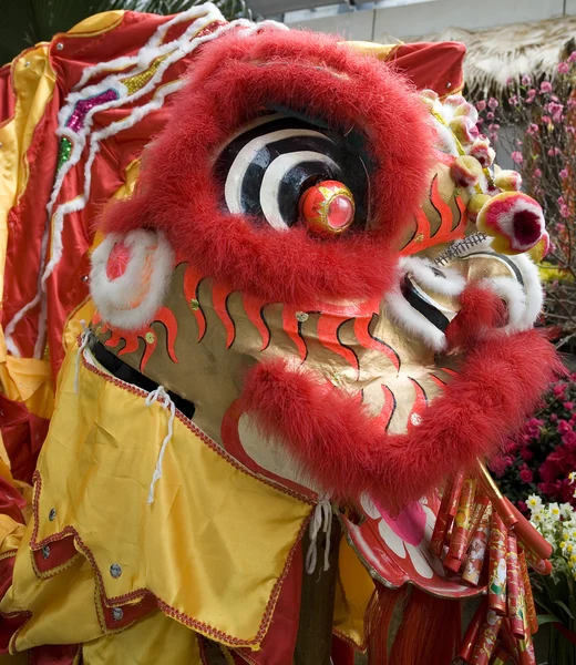 Close-up of chinese dragon head — Stock Photo, Image