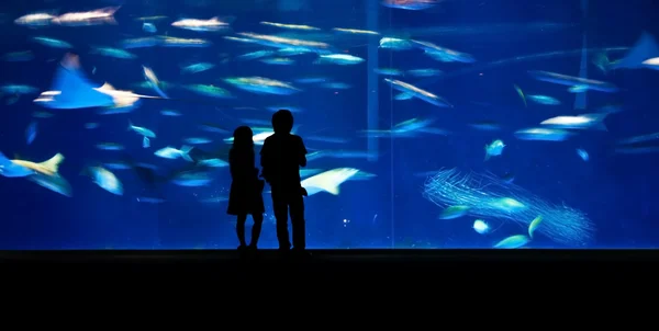 Les gens dans un aquarium — Photo