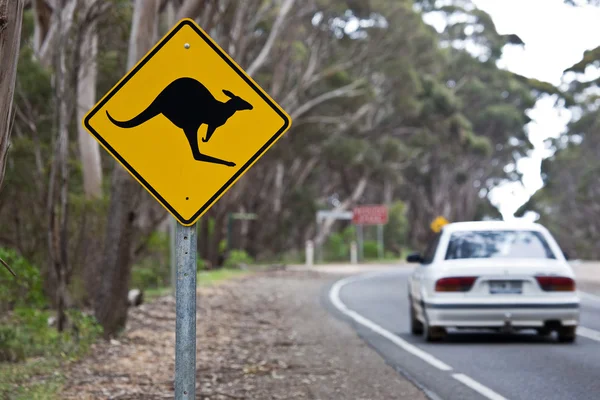 Sinal de canguru em uma estrada — Fotografia de Stock