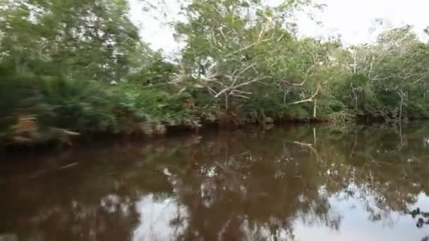 Plavba podél řeky — Stock video