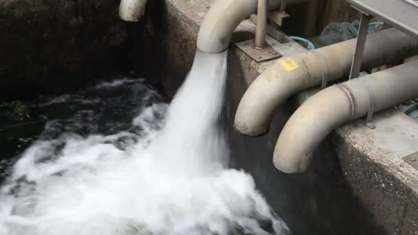 Égouts dans une usine de traitement d'eau — Video