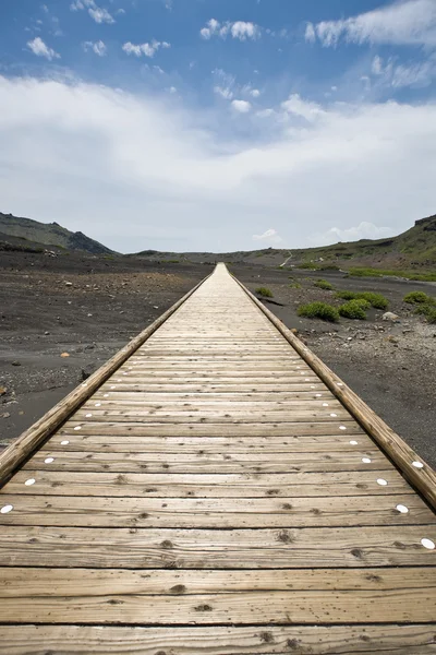 Wooden footpath — Stock Photo, Image