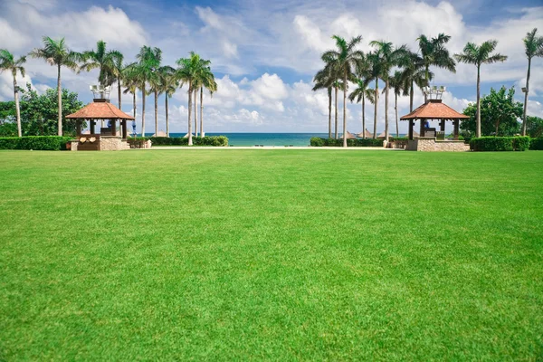 Zielony trawnik tropikalny ośrodek — Zdjęcie stockowe