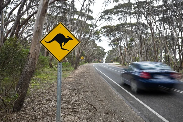 Знак кенгуру на дороге — стоковое фото