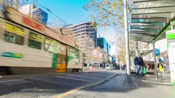 Taşıt meşgul tramvay istasyonu Melbourne Timelapse video — Stok video