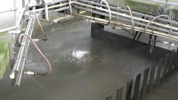 Afvalwater wordt behandeld in een rioolwaterzuiveringsinstallatie — Stockvideo