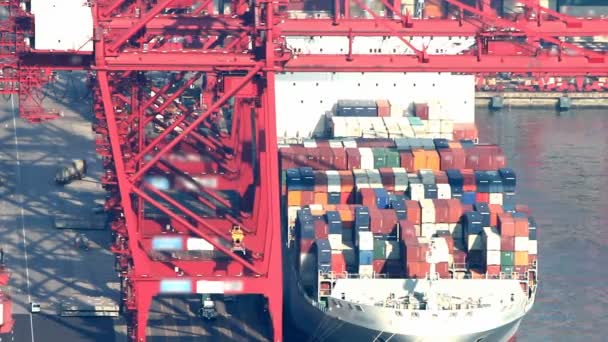 Bir kargo limanında yükleme bir kargo gemisi Timelapse video — Stok video