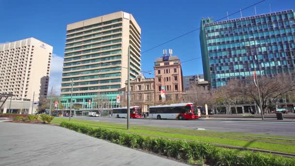 Dois bondes passando pelo centro da cidade de Adelaide, Austrália do Sul — Vídeo de Stock