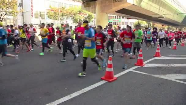 Corredores participantes en la Maratón de Osaka — Vídeo de stock